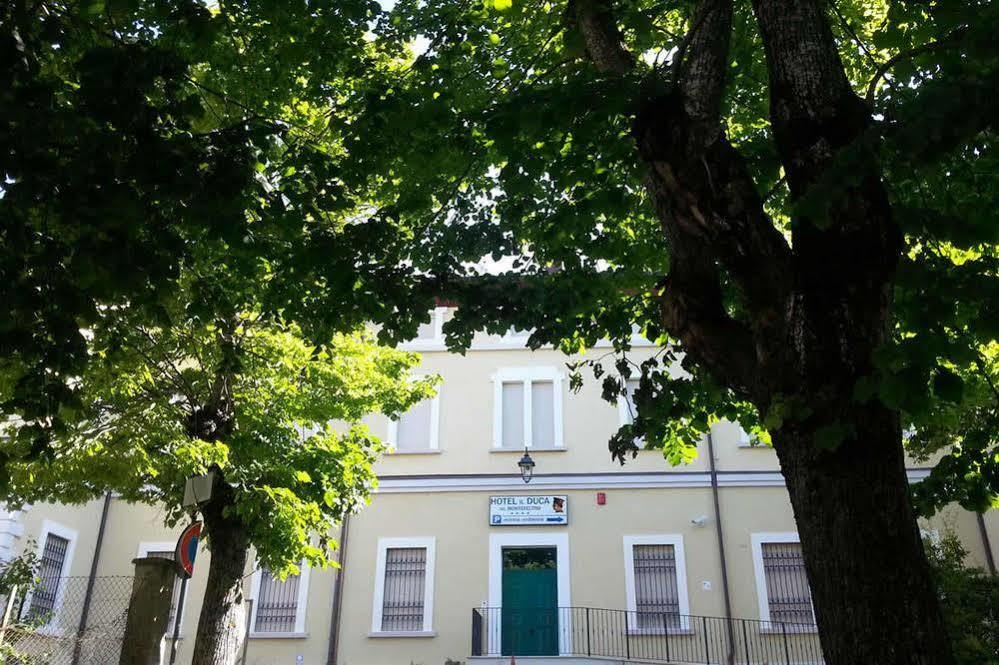 Hotel Il Duca Del Montefeltro ペンナビッリ エクステリア 写真